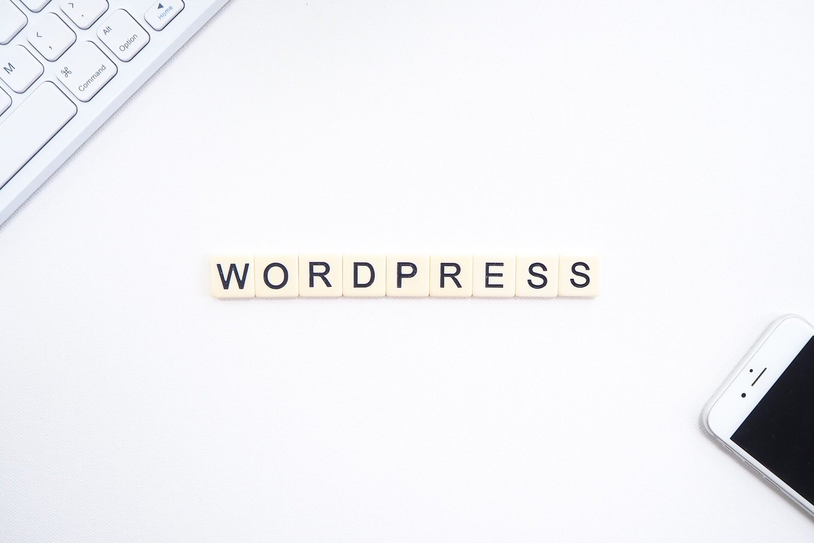 build saas with WordPress