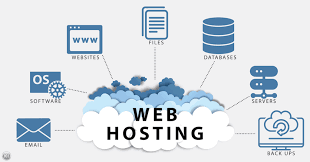 Web Hosting vs WordPress Hosting